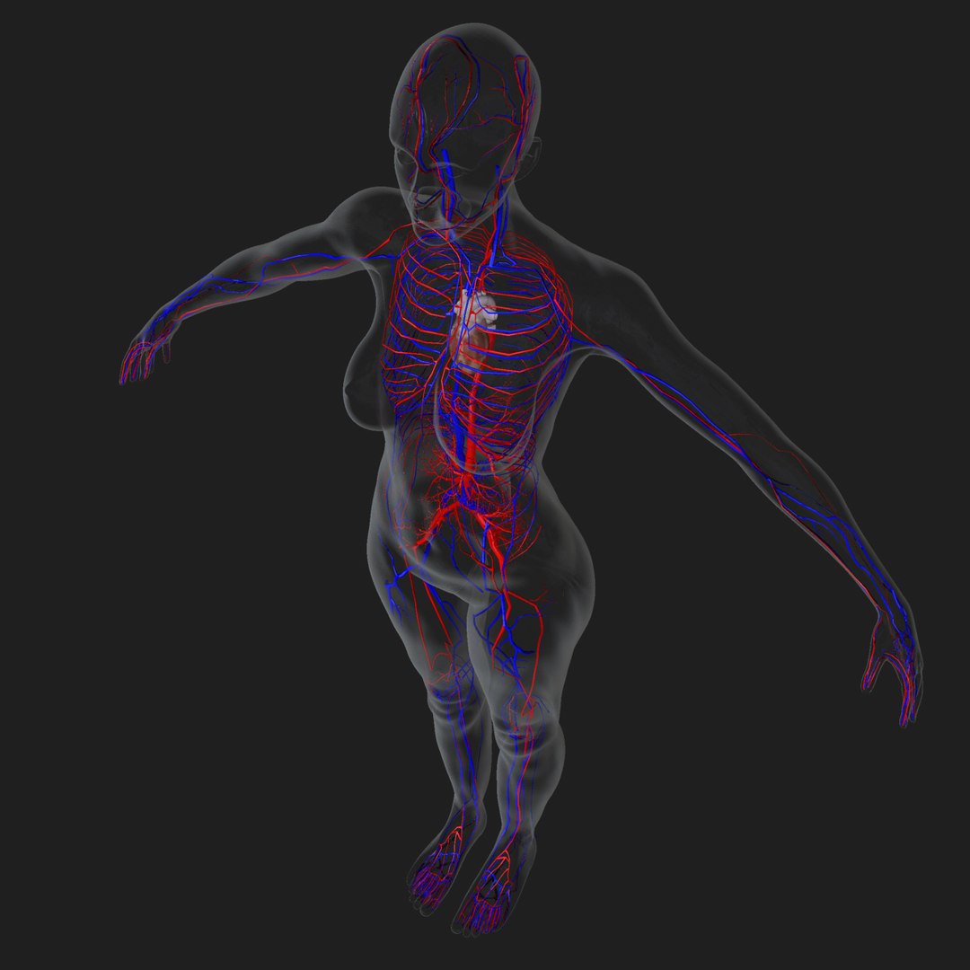 3d ma ultimate complete rigged female https://p.turbosquid.com/ts-thumb/Vh/MdUt5N/iE53BfLR/circ2/jpg/1462906608/1920x1080/fit_q87/fc8927397111716fe0c9332938c553bf658bbc58/circ2.jpg