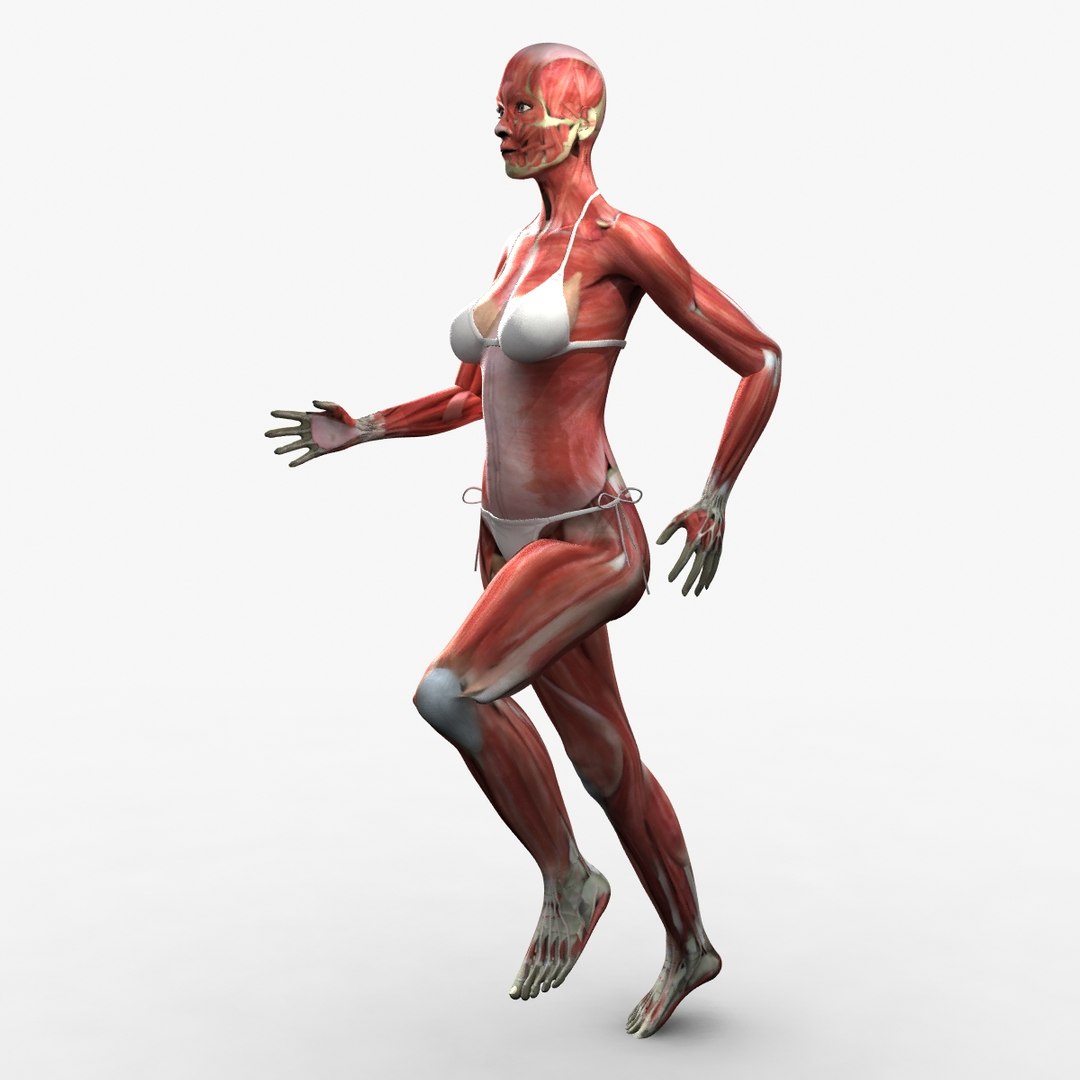 3d ma ultimate complete rigged female https://p.turbosquid.com/ts-thumb/Vh/MdUt5N/j6emlo3X/012/jpg/1462928457/1920x1080/fit_q87/1a370f76d49cdbb6490c93ca5d6b7a3a6aa7bf54/012.jpg