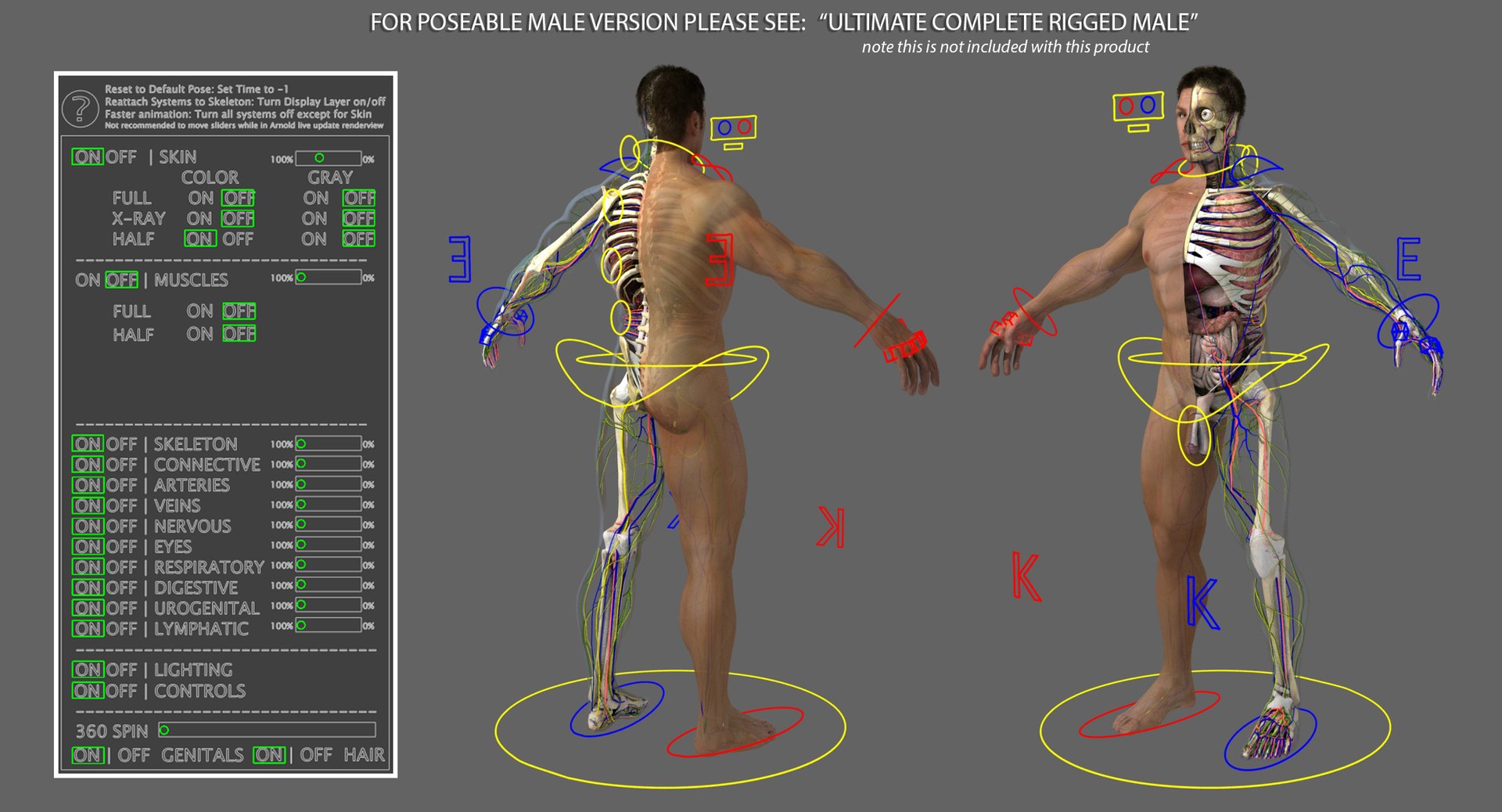 3d ma ultimate complete rigged female https://p.turbosquid.com/ts-thumb/Vh/MdUt5N/oseRlBKo/rigad/jpg/1540585065/1920x1080/fit_q87/3c7ee22849391a9a0a3df5e70e7b5106ddeba901/rigad.jpg