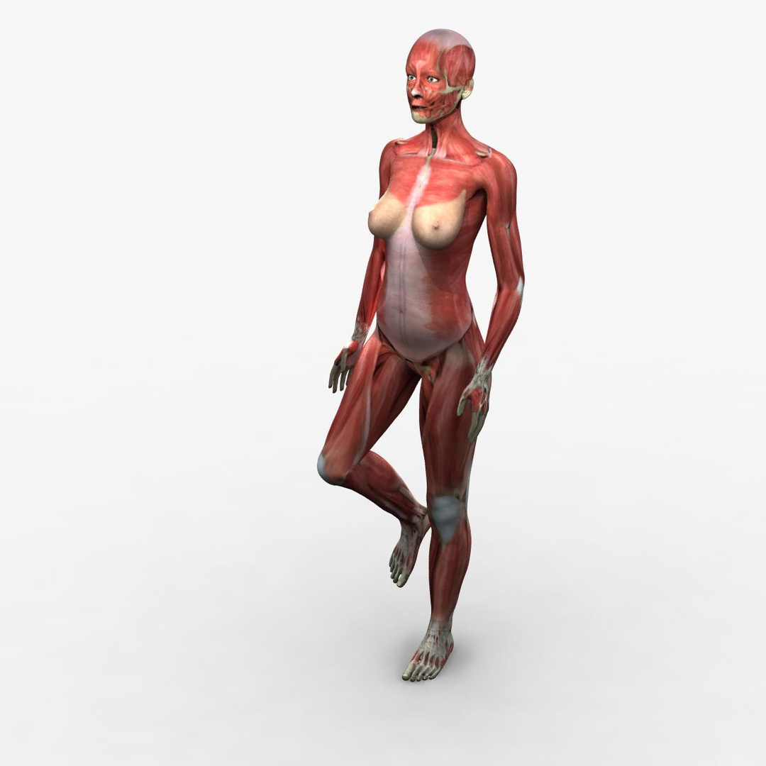 3d ma ultimate complete rigged female https://p.turbosquid.com/ts-thumb/Vh/MdUt5N/qs9JYgGR/walk/jpg/1462985748/1920x1080/turn_fit_q99/7b6b7fcb92a3dc45eb54d7ea79df4f52e9934c00/walk-1.jpg
