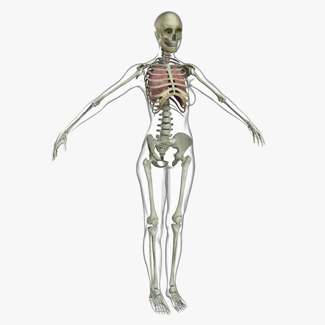 3d ma ultimate complete rigged female https://p.turbosquid.com/ts-thumb/Vh/MdUt5N/uKcXnjaM/04/jpg/1462905430/1920x1080/fit_q87/80b7f1274384b30d023d1edcdac5d16f321070f0/04.jpg