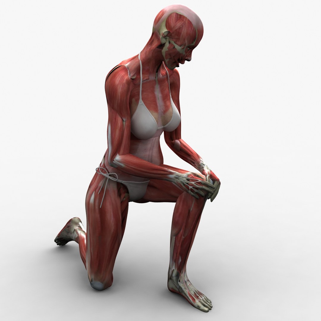 3d ma ultimate complete rigged female https://p.turbosquid.com/ts-thumb/Vh/MdUt5N/zReB4lsB/014/jpg/1462928923/1920x1080/fit_q87/cf1ccc0170f00d241efc10abdce42e4906f2dfb2/014.jpg