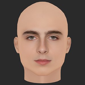 3D Low Poly Timothee Chalamet Head model