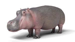Hippopotamus Rigged