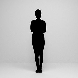 silhouette scenes 3D model
