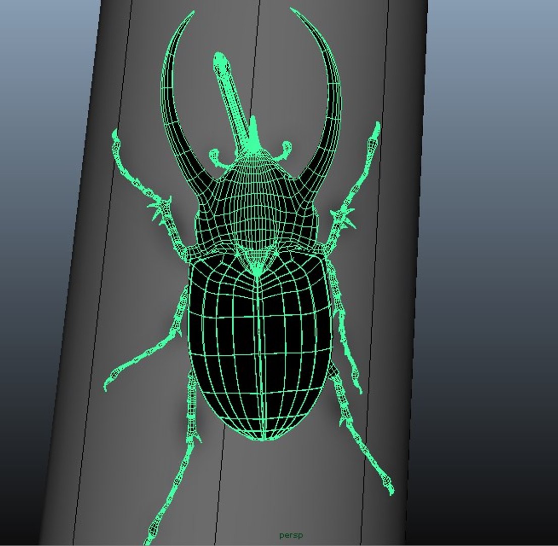 chalcosoma atlas beetle rigging 3d ma https://p.turbosquid.com/ts-thumb/Vh/aemliu/PVZt1XYD/topology2/jpg/1479751296/1920x1080/fit_q87/391740979822d9de53e37a3fd685a590cffc3bf3/topology2.jpg