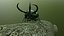 Chalcosoma Atlas beetle Textured  (no rigging)