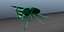 Chalcosoma Atlas beetle Textured  (no rigging)