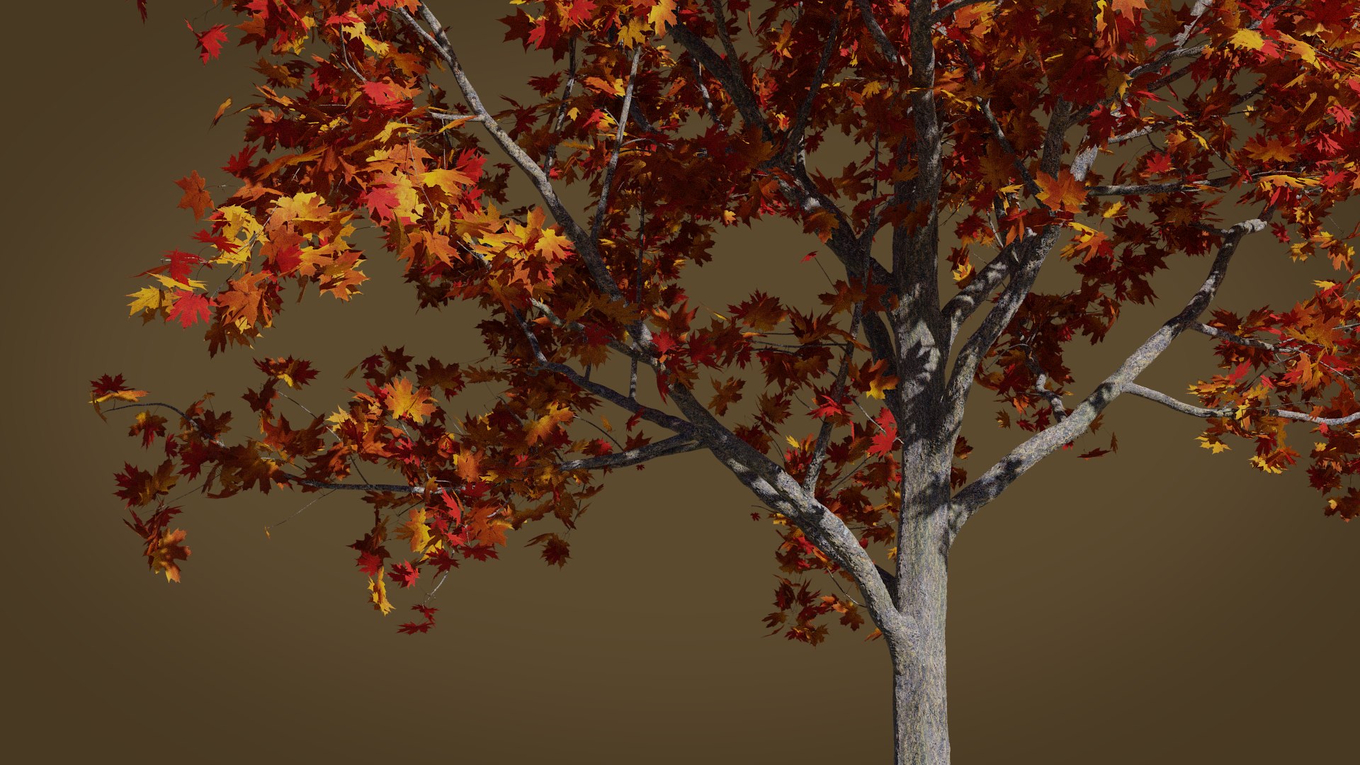 3D maple autumn 3 tree bark model - TurboSquid 1472194