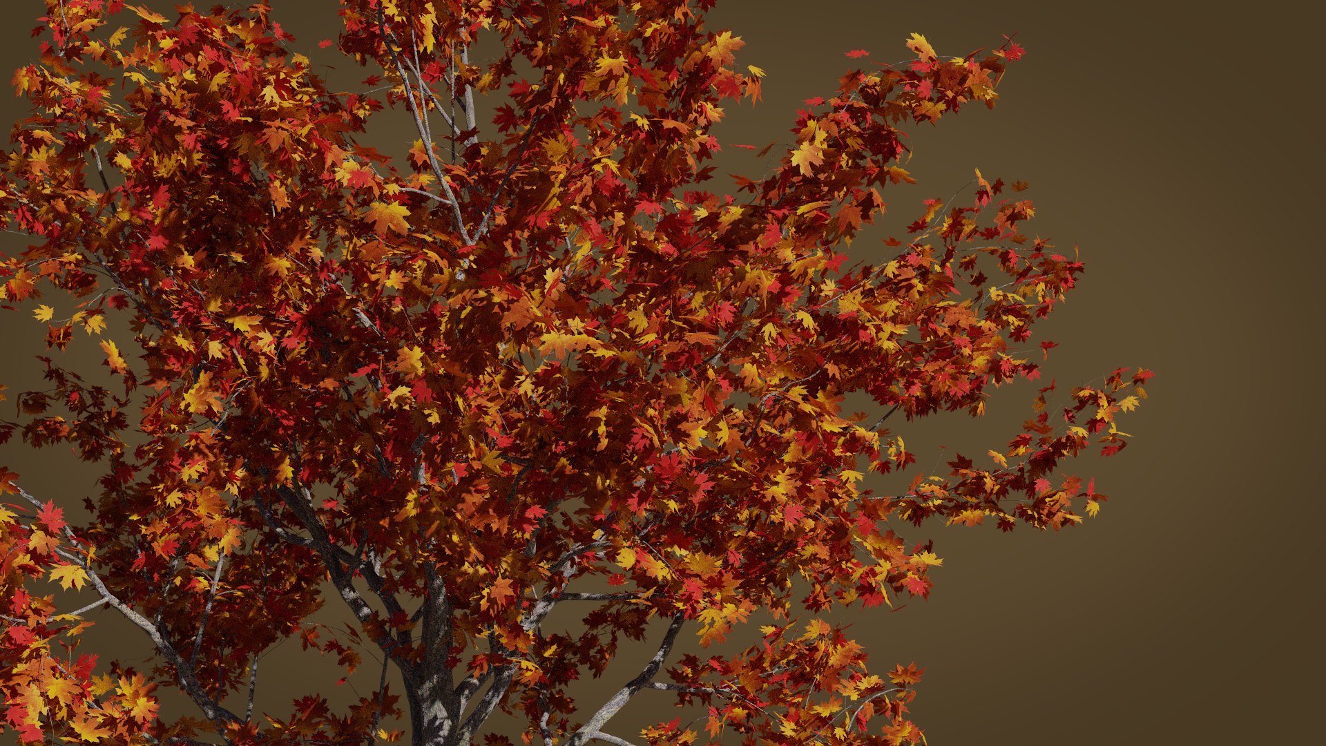 3D maple autumn 3 tree bark model - TurboSquid 1472194