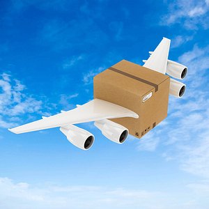 Corrugated Box With Airplane Wings Shipping