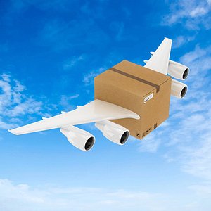 Corrugated Box With Airplane Wings Shipping