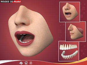 Lips - Mouth - Teeth - Human Anatomy -- Rigged