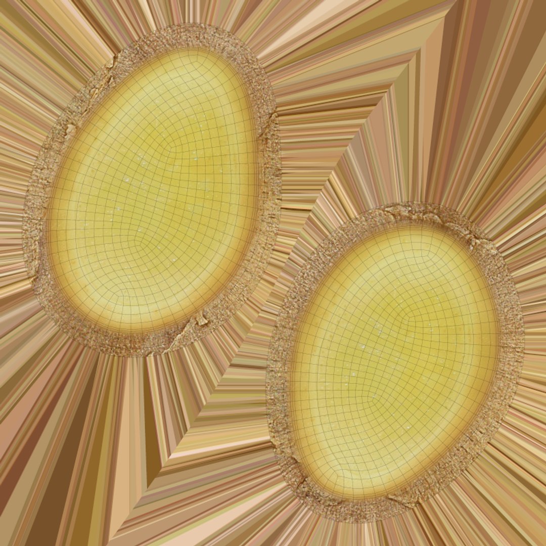 Ginger Slice 2 3D model https://p.turbosquid.com/ts-thumb/Vh/gwM8XH/MS/gingerslice2_0015/png/1775120014/1920x1080/fit_q87/f050be9bcc3e82acac50bc4d47b8dff991ac636c/gingerslice2_0015.jpg