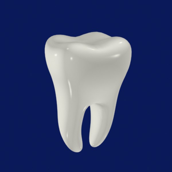 3d tooth model