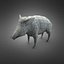 Boar