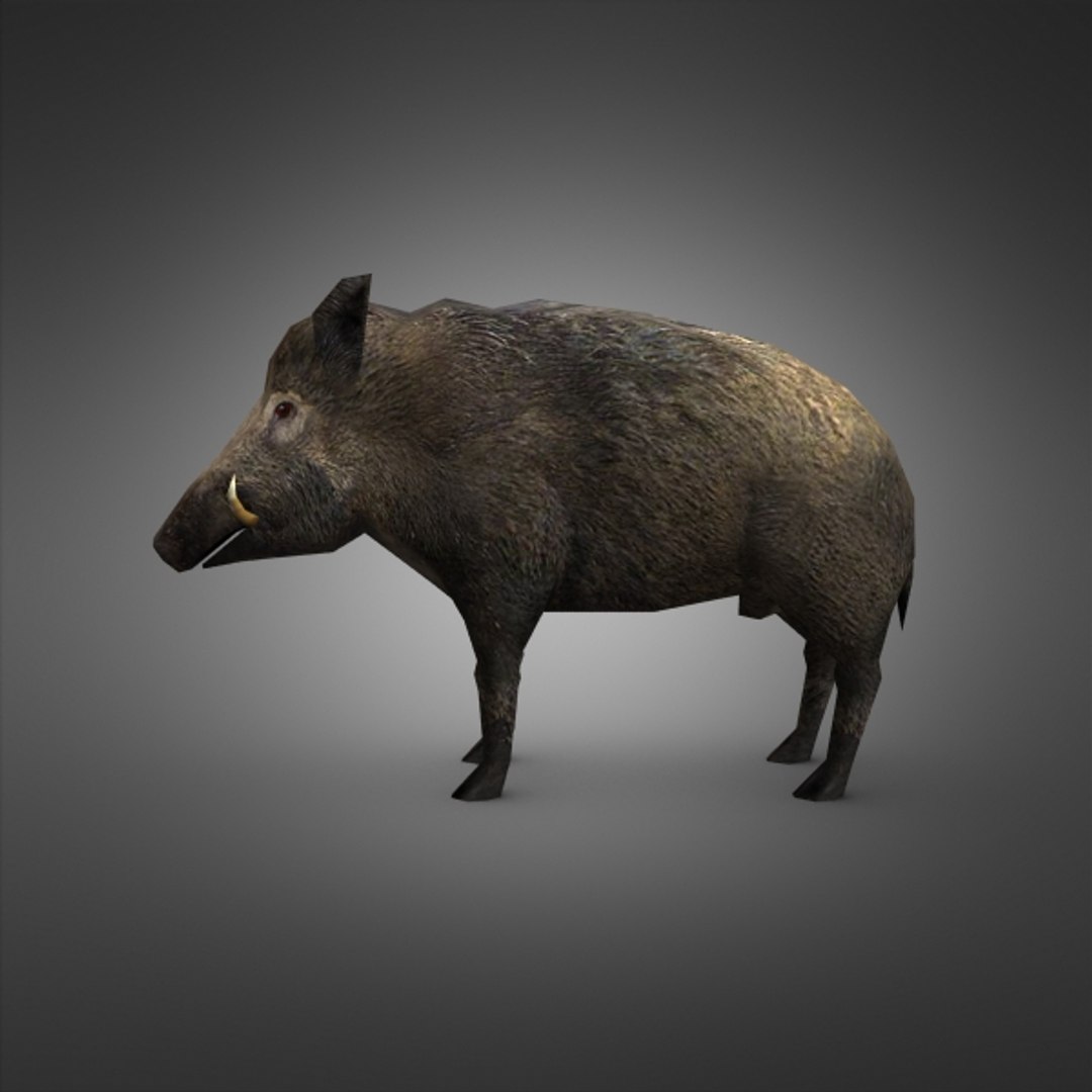 ready games 3d model https://p.turbosquid.com/ts-thumb/Vh/n5hq2W/BKYysB06/3dboar03/jpg/1327787260/1920x1080/fit_q87/e5640bd3a088d785a30728dd17dca95afe4b9943/3dboar03.jpg