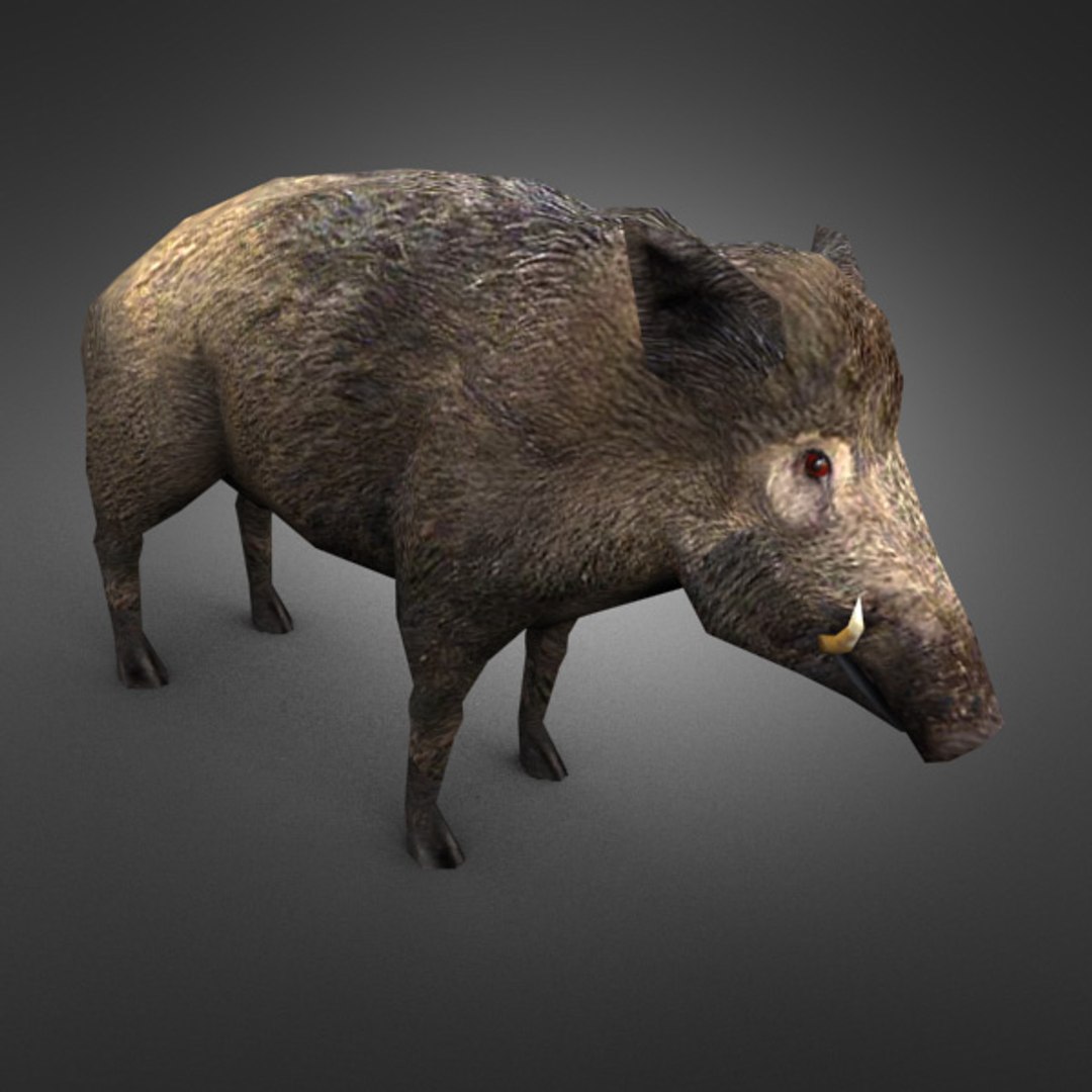 ready games 3d model https://p.turbosquid.com/ts-thumb/Vh/n5hq2W/VJYq5USM/preview_boar/jpg/1351491123/1920x1080/fit_q87/68ceafdb0462fe88236a6fca6c709186419c7ce7/preview_boar.jpg