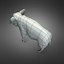 Boar