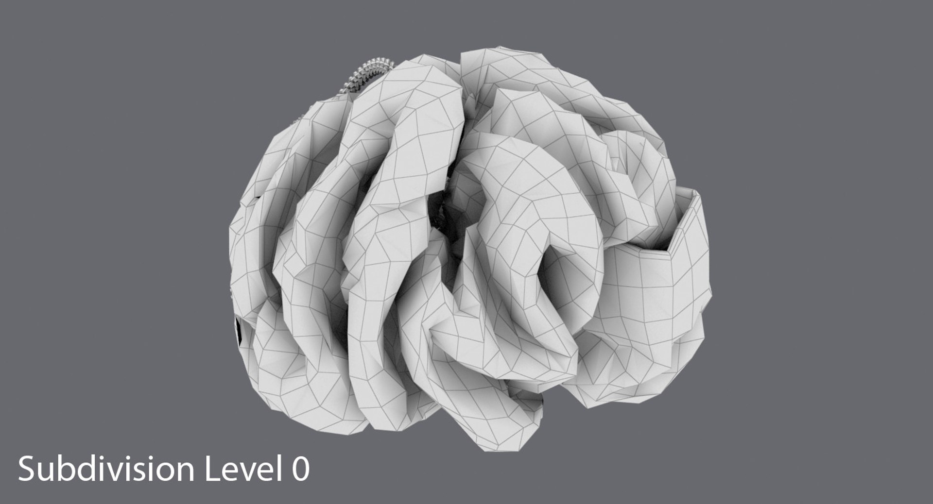 3d bath loofah https://p.turbosquid.com/ts-thumb/Vh/q55k5T/xRnpcC12/bath_loofah_wireframe_0002/jpg/1483046418/1920x1080/fit_q87/7405257eeb75411dc3e702c442446cde4ee2da75/bath_loofah_wireframe_0002.jpg