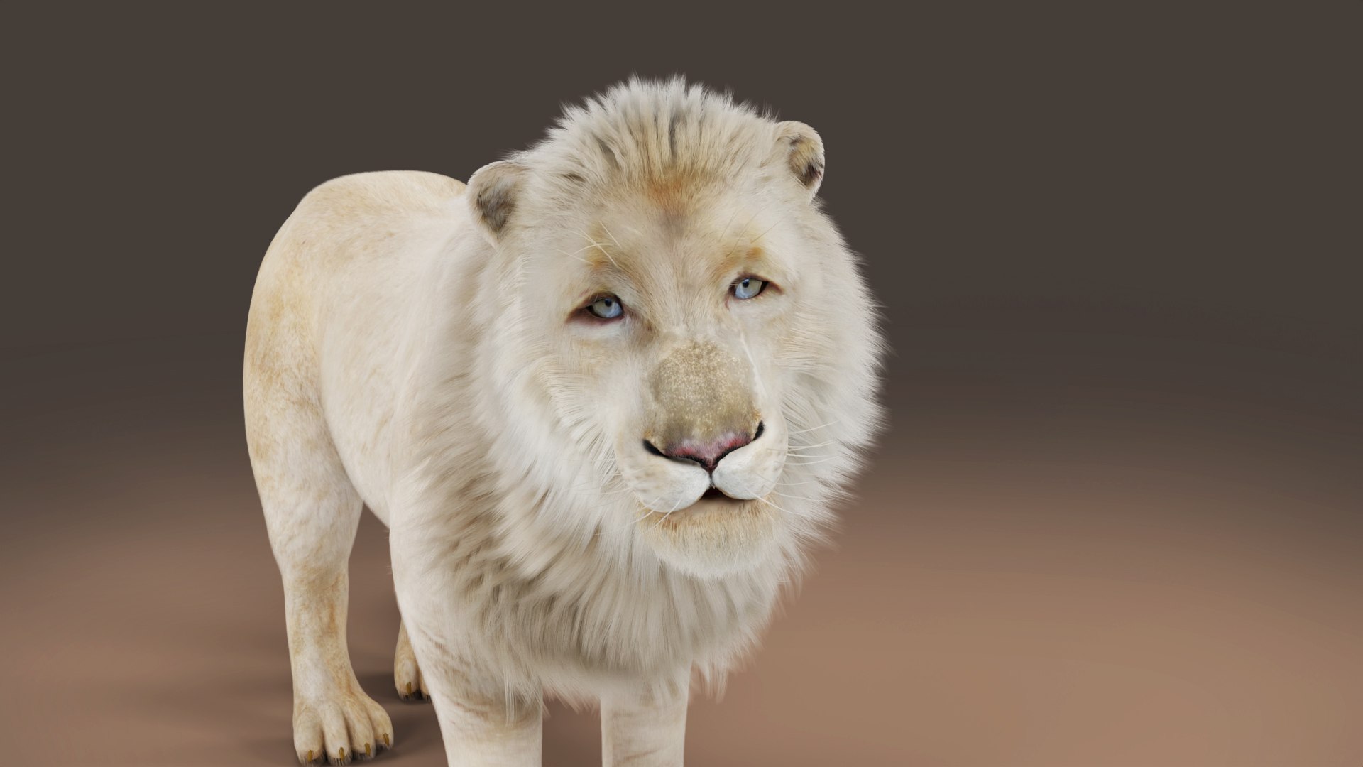3D Fur White Lion Rigged and Animation in Blender model https://p.turbosquid.com/ts-thumb/Vh/rUc6do/4g/11/jpg/1677226023/1920x1080/fit_q87/6d4b2a4dded5f5f6f7859564529ac592f166b3f8/11.jpg