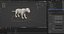 Fur White Lion Rigged and Animation in Blender