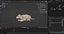 Fur White Lion Rigged and Animation in Blender