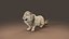 Fur White Lion Rigged and Animation in Blender