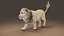 Fur White Lion Rigged and Animation in Blender