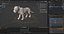 Fur White Lion Rigged and Animation in Blender