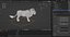 Fur White Lion Rigged and Animation in Blender