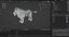 Fur White Lion Rigged and Animation in Blender