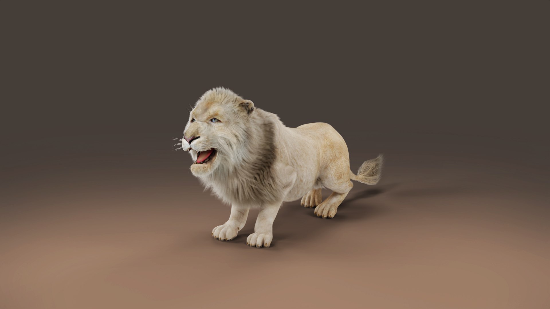 3D Fur White Lion Rigged and Animation in Blender model https://p.turbosquid.com/ts-thumb/Vh/rUc6do/zN/04/jpg/1677223582/1920x1080/fit_q87/93af139fb3f89557f6b793f44da0602c0034b0a6/04.jpg