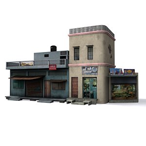 local indian house 3d model