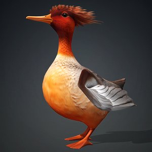 Duck-B4 model