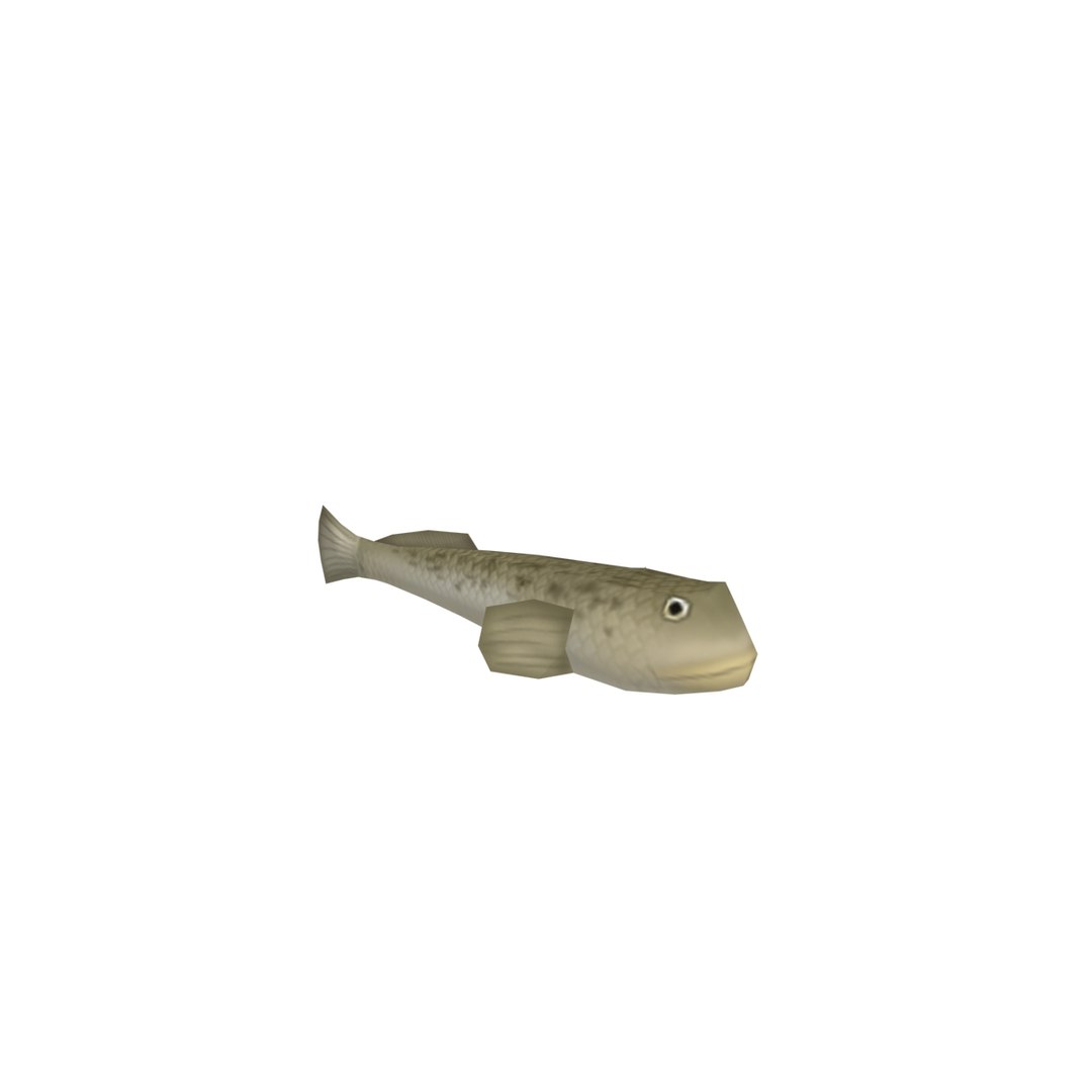 goby 3D model https://p.turbosquid.com/ts-thumb/Vi/1SB5mO/BeWCmQDG/goby_0000/jpg/1493611677/1920x1080/fit_q87/b705e24a7e45d7dfb80e04ae8a48edaebd67f99c/goby_0000.jpg