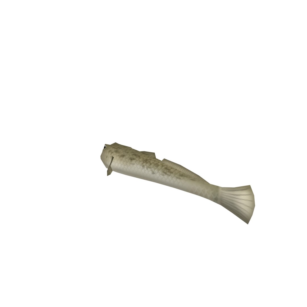 Goby 3D Model - TurboSquid 1152644