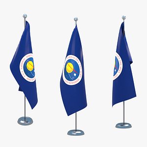 NASA Flag and Pole 3D model