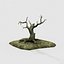 old tree
