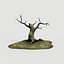 old tree
