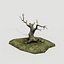 old tree
