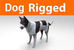 german shepherd dog rigged 3D