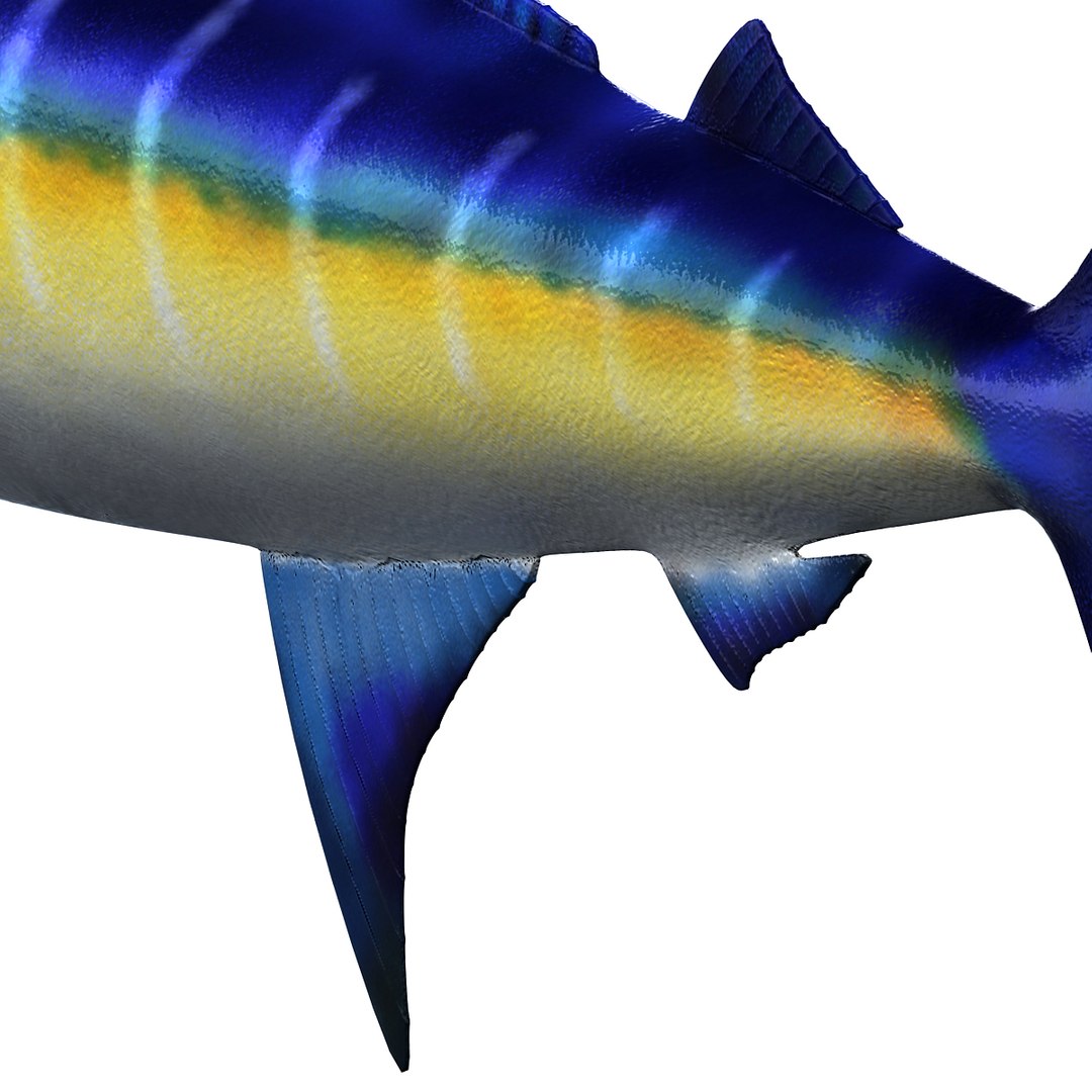 3ds Max Marlin Fish