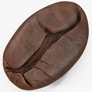 3D coffee bean roasted 4 model