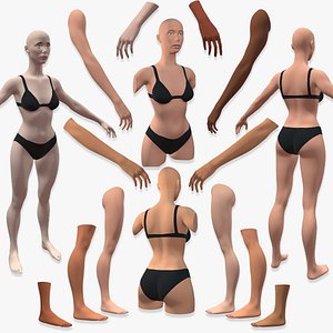 Procreate 3d Model - Female Bundle