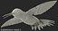 Broad Tailed Hummingbird Rigged for Maya