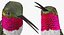 Broad Tailed Hummingbird Rigged for Maya
