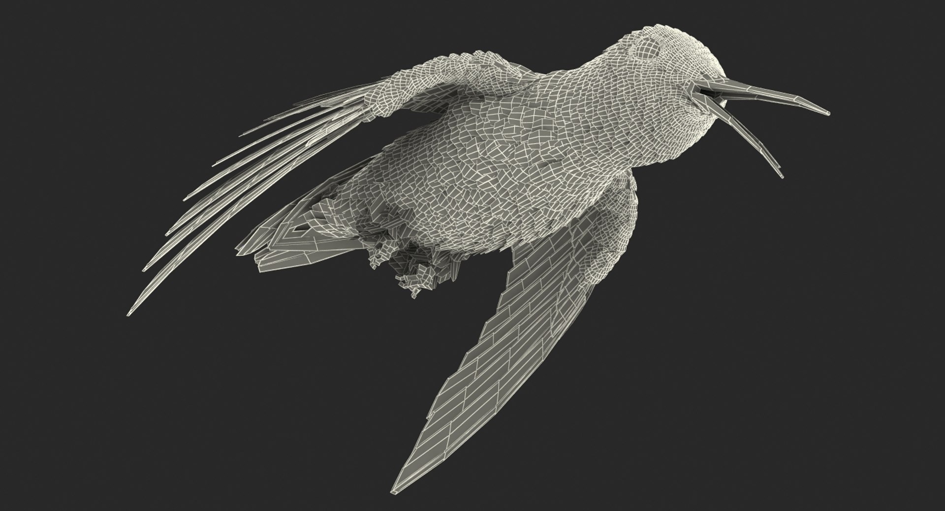 3D model broad tailed hummingbird rigged https://p.turbosquid.com/ts-thumb/Vi/he7mIz/b38DW8Mm/broadtailedhummingbirdrigged3dsmodel024/jpg/1490612858/1920x1080/fit_q87/702d8fc18d029fe531cf02eb13307255fd7a0314/broadtailedhummingbirdrigged3dsmodel024.jpg