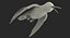 Broad Tailed Hummingbird Rigged for Maya