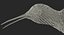 Broad Tailed Hummingbird Rigged for Maya